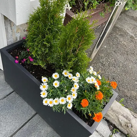 ホテル Mosjoen Hotel